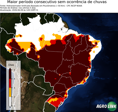 5 dias