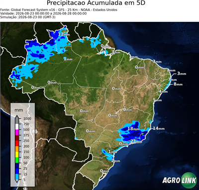 5 dias