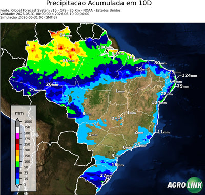 10 dias