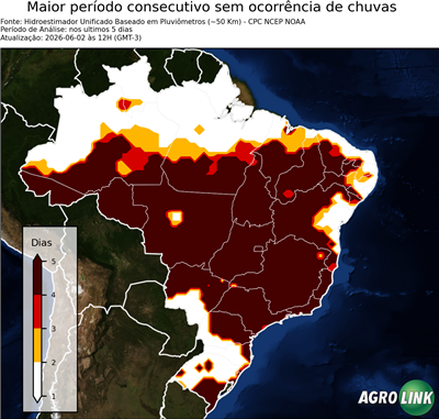 5 dias
