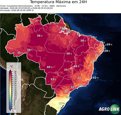 24 horas