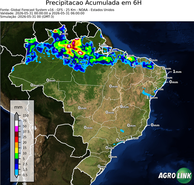 6 horas