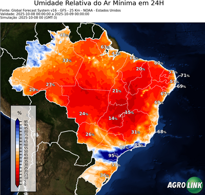 24 horas