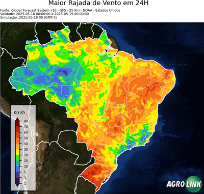 24 horas