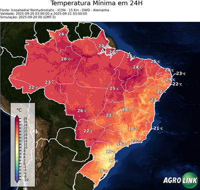24 horas