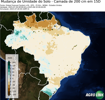 15 dias