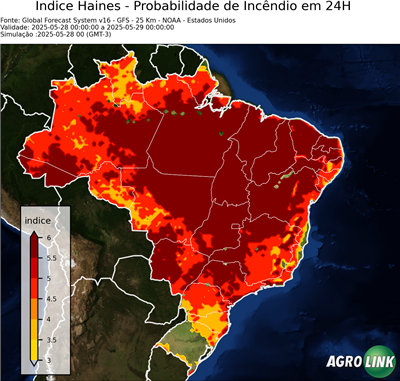 24 horas