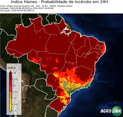 24 horas