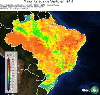 24 horas