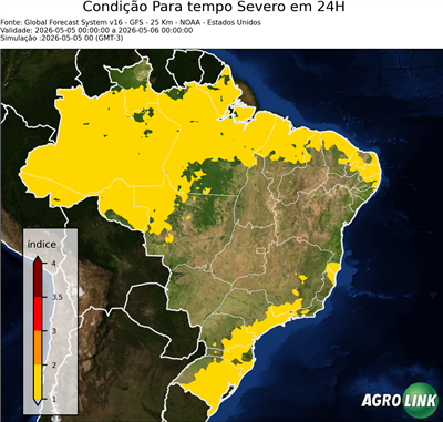 24 horas