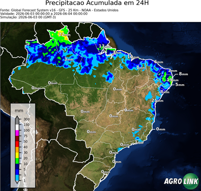 24 horas