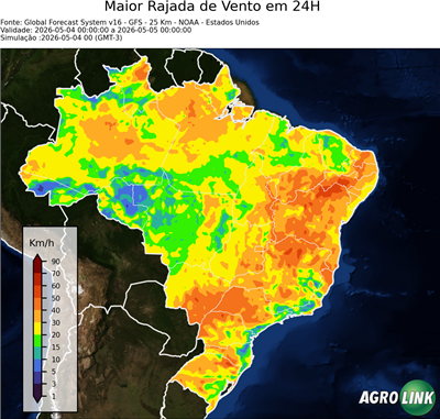 24 horas