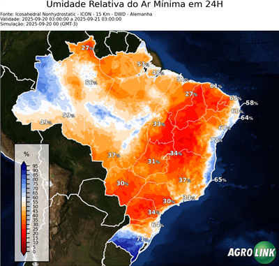24 horas