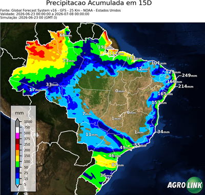 15 dias