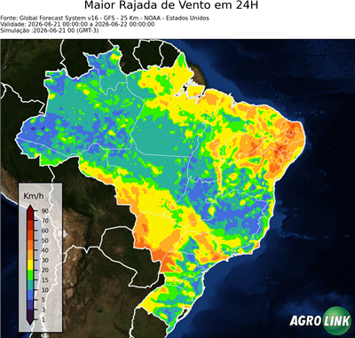24 horas