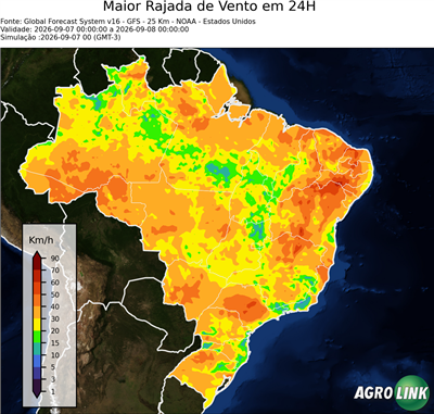 24 horas