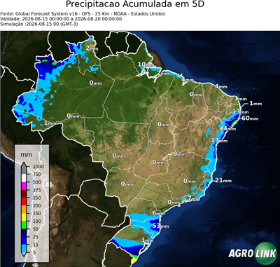 5 dias