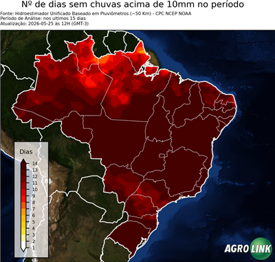15 dias