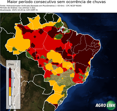 5 dias