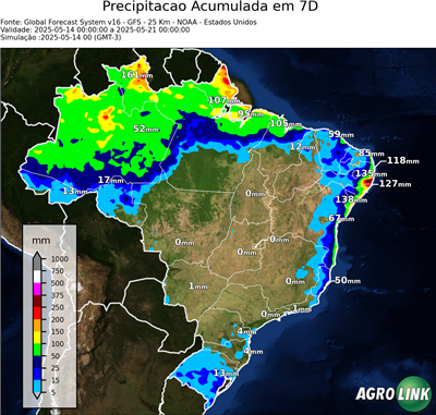 7 dias