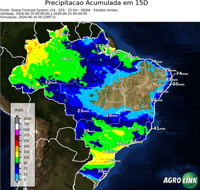 15 dias