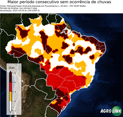 5 dias
