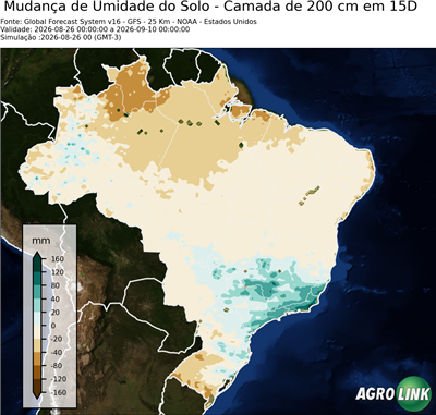 15 dias
