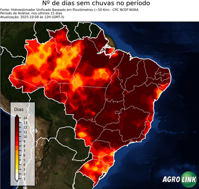 15 dias