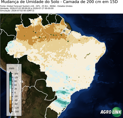 15 dias