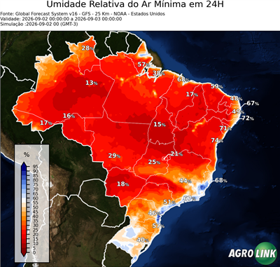 24 horas