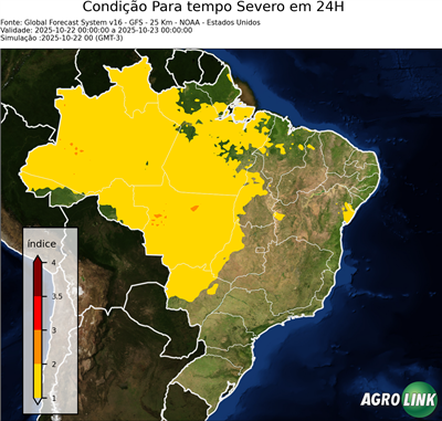 24 horas