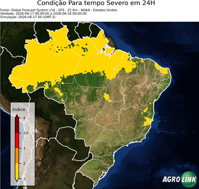24 horas