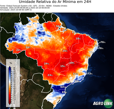 24 horas