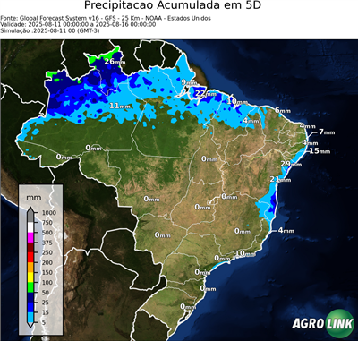 5 dias