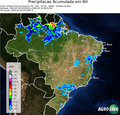 6 horas