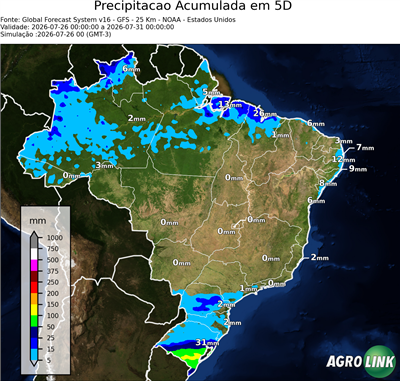5 dias