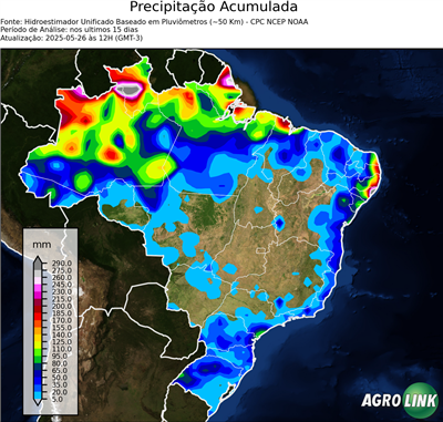 15 dias