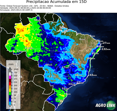 15 dias