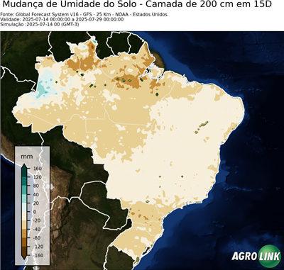 15 dias