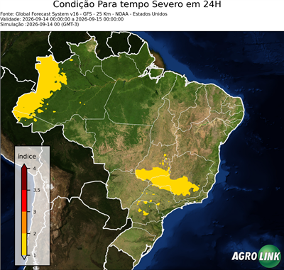 24 horas