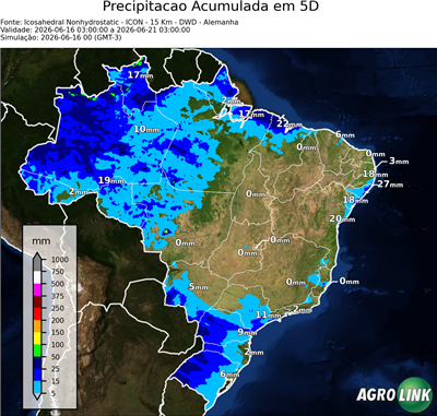 5 dias