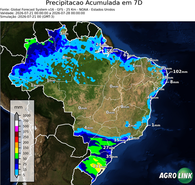 7 dias