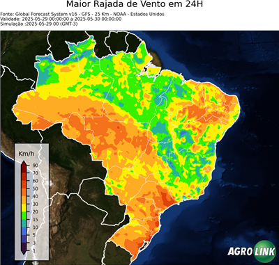 24 horas