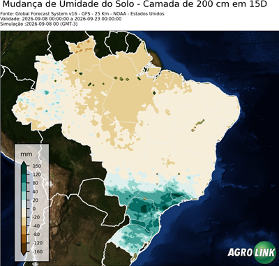 15 dias