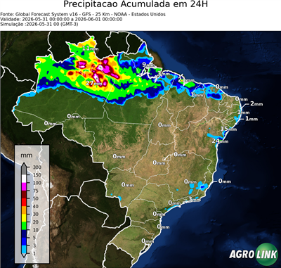 24 horas