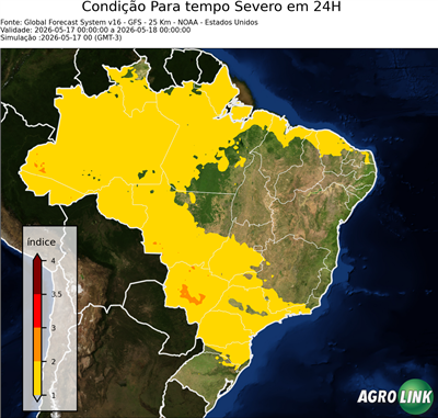 24 horas