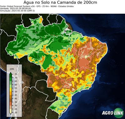 24 horas