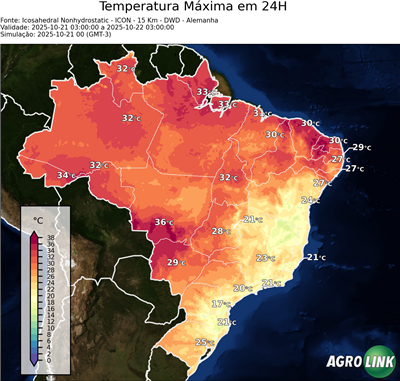24 horas