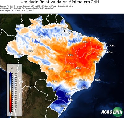 24 horas
