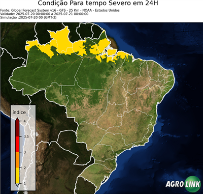 24 horas